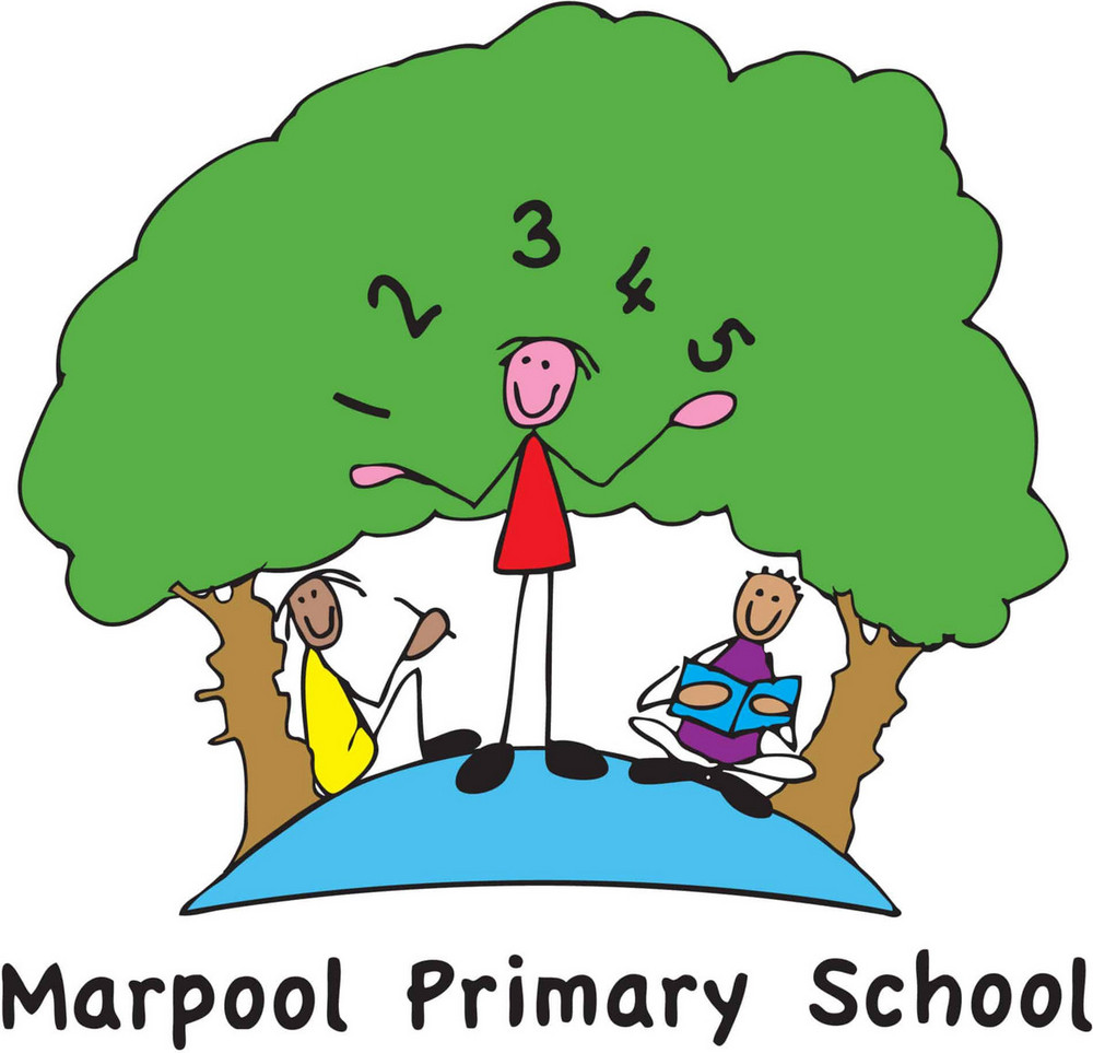 Marpool Primary School KS2 Glow in the Dark Dodgeball Book Now